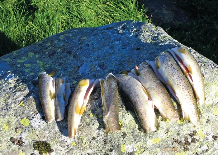 Torsnes Ferienhaus *